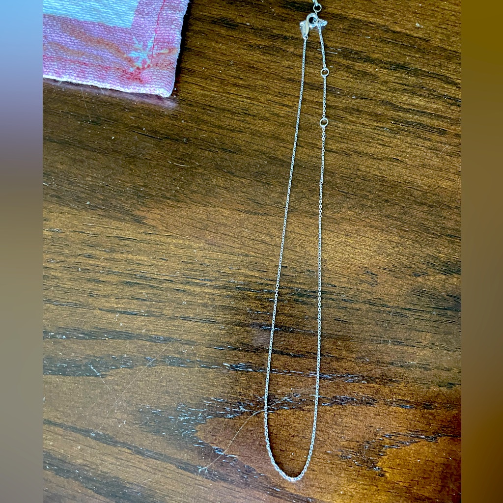 Fossil Delicate Multi Length Chain Necklace 10$